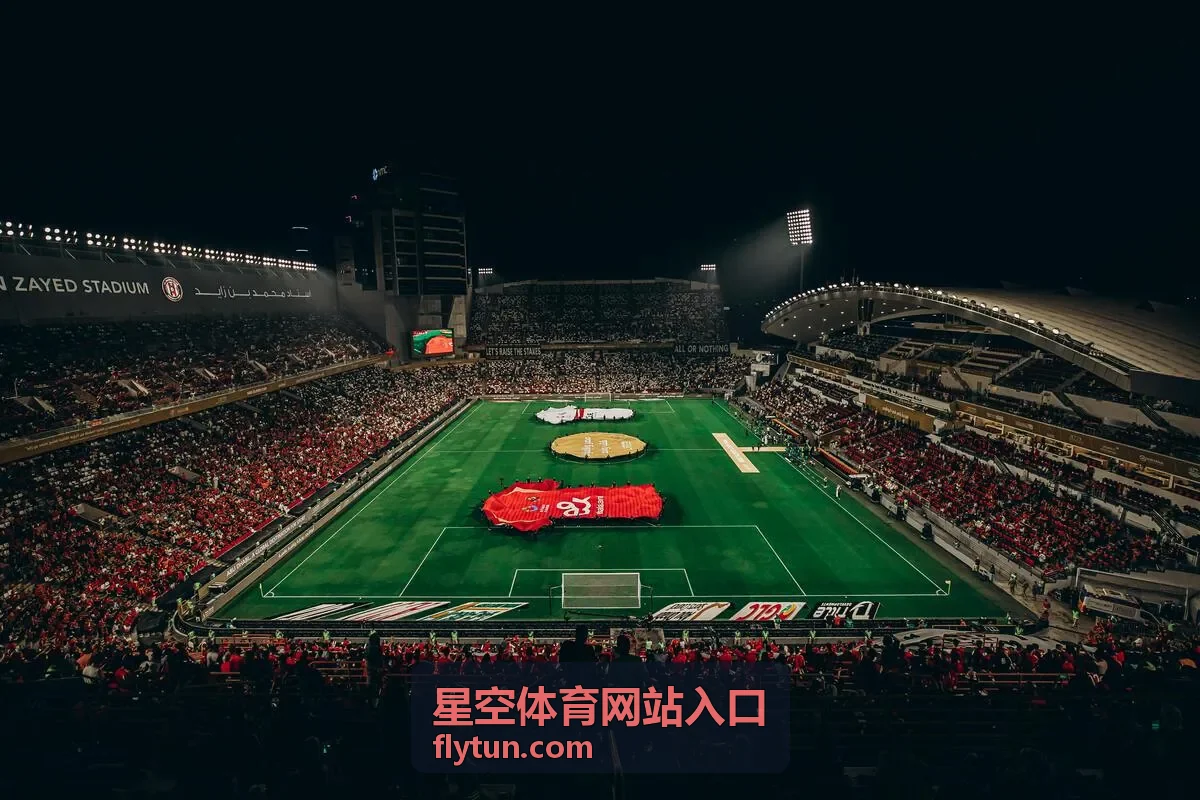 星空体育网站入口常见访问问题的排查顺序示意